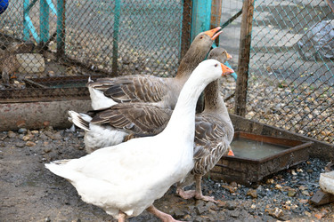 Similar image 21314163