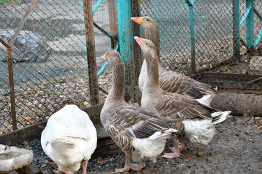 Similar image 21314165