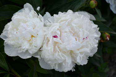 Similar image 21314166