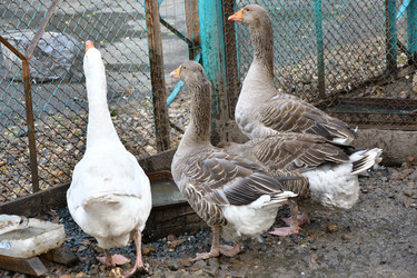 Similar image 21314253