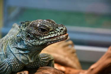 Similar image 21314254