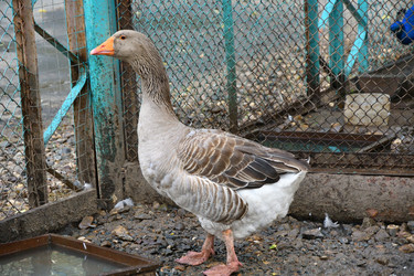 Similar image 21314255