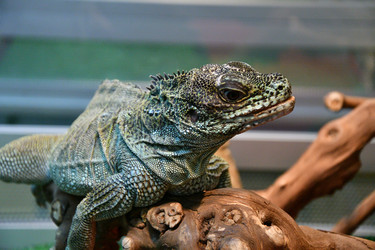 Similar image 21314256