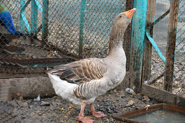 Similar image 21314257