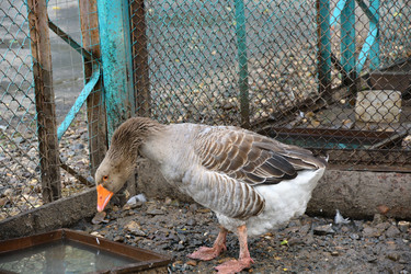 Similar image 21314259