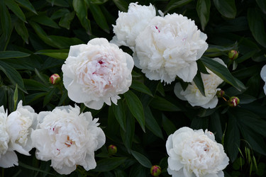 Similar image 21314265