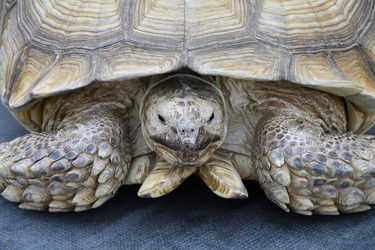 Similar image 21315512