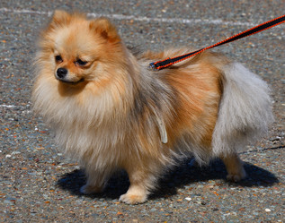 Similar image 21315513