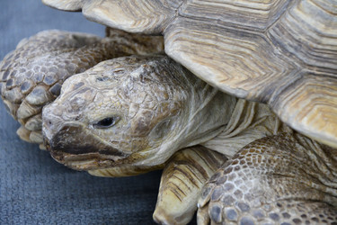 Similar image 21315519