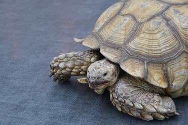 Similar image 21315521