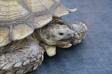 Similar image 21315522