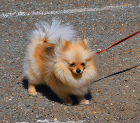 Similar image 21315524