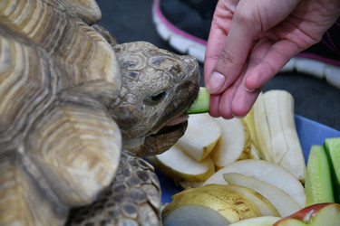 Similar image 21315528