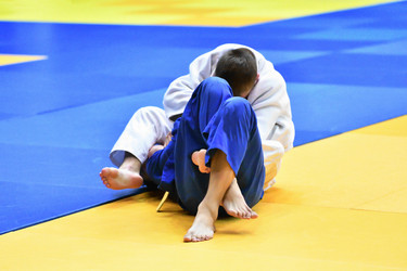 Similar image 21315545