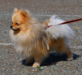 Similar image 21315548