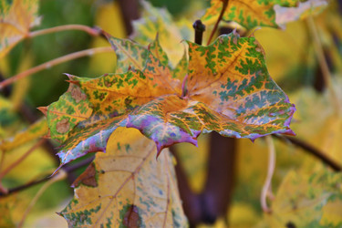 Similar image 21295355