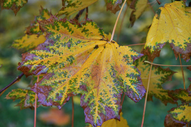 Similar image 21295356