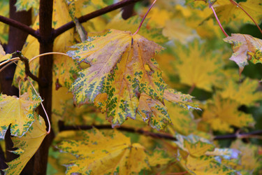 Similar image 21295359