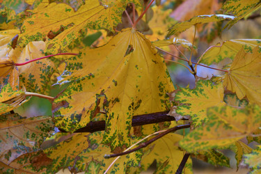 Similar image 21308901