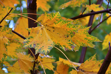 Similar image 21308903