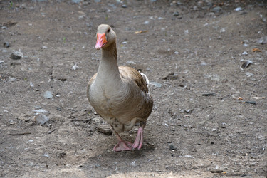 Similar image 21314119