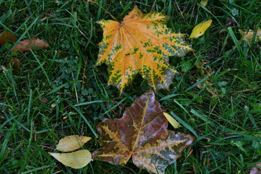 Similar image 21314120