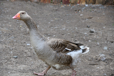 Similar image 21314121