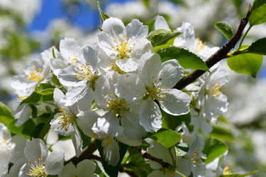 Similar image 21314167