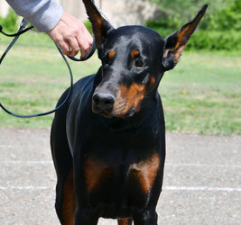 Similar image 21314171