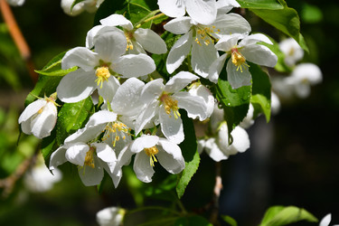 Similar image 21314267