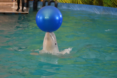 Similar image 21314268