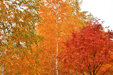 Similar image 21314272