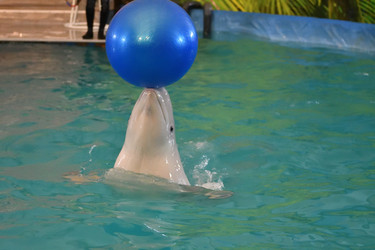 Similar image 21314275