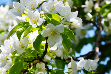 Similar image 21314277