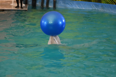 Similar image 21314279