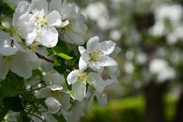 Similar image 21314350