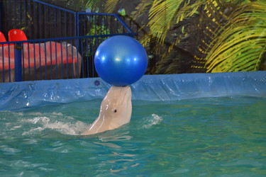 Similar image 21314351