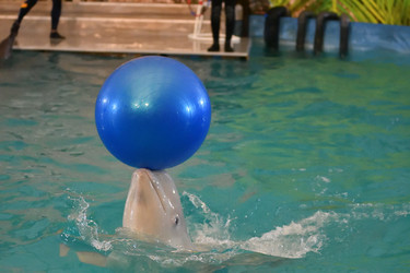 Similar image 21314353