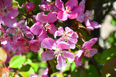 Similar image 21314354