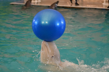 Similar image 21314355