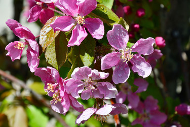 Similar image 21314356