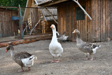 Similar image 21314357