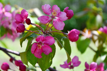 Similar image 21314408