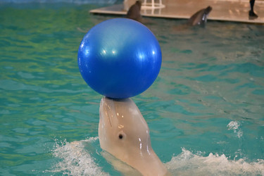 Similar image 21314409