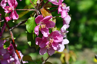 Similar image 21314410