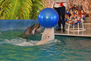 Similar image 21314411