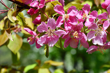 Similar image 21314412