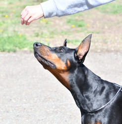 Similar image 21314454