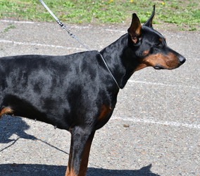 Similar image 21315569