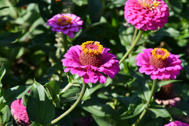 Similar image 21315574